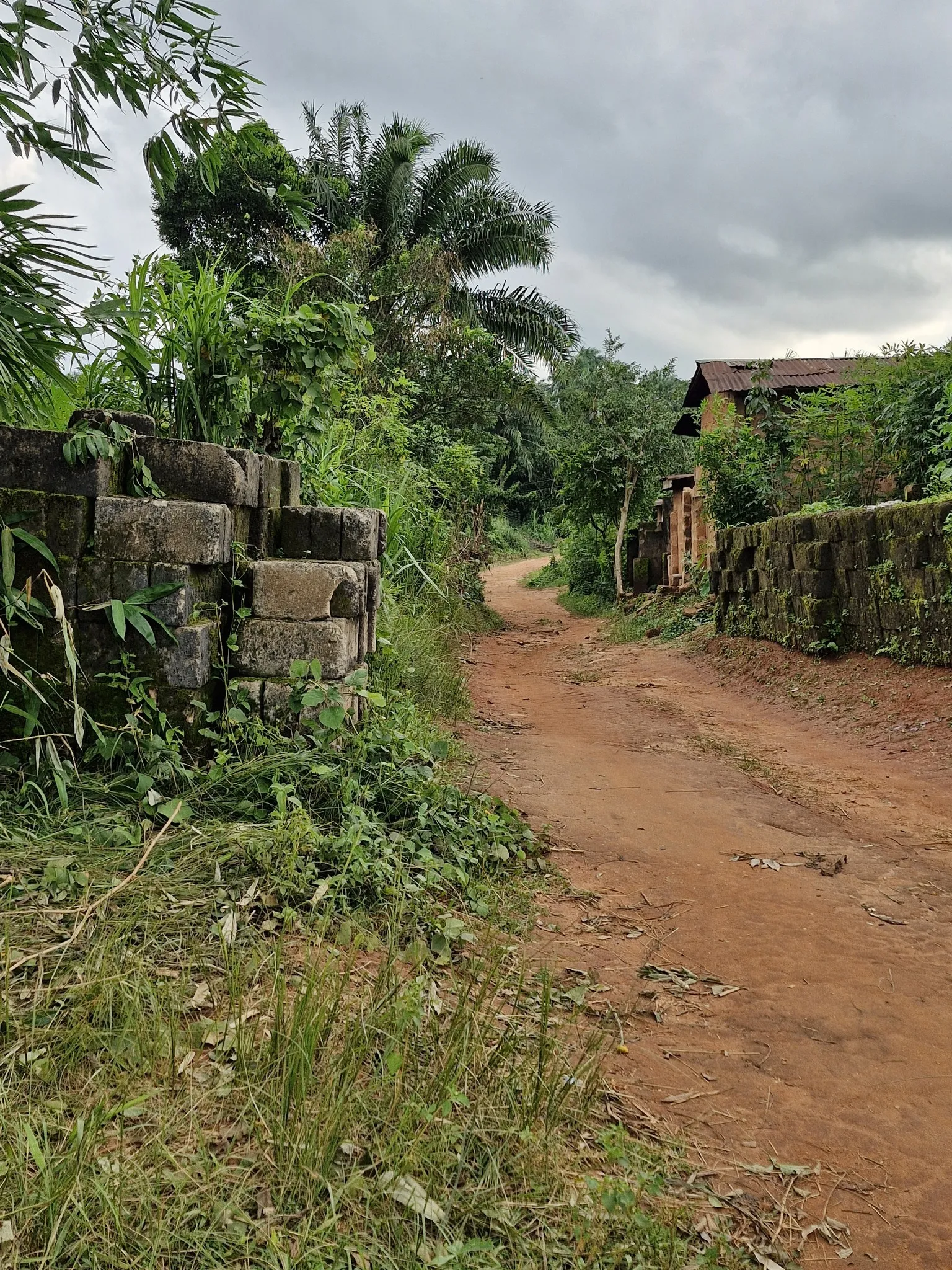 a road in africa